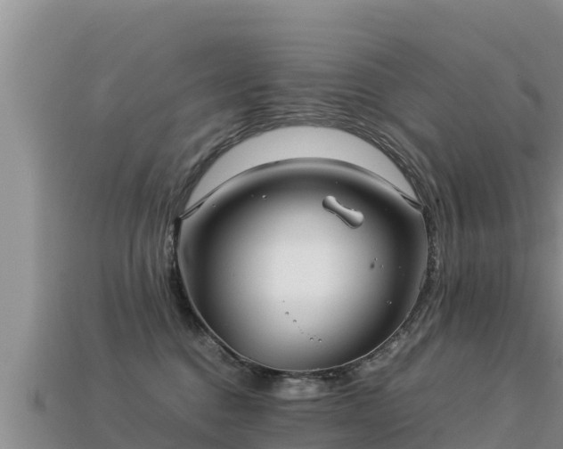 X0000113220376200909171600