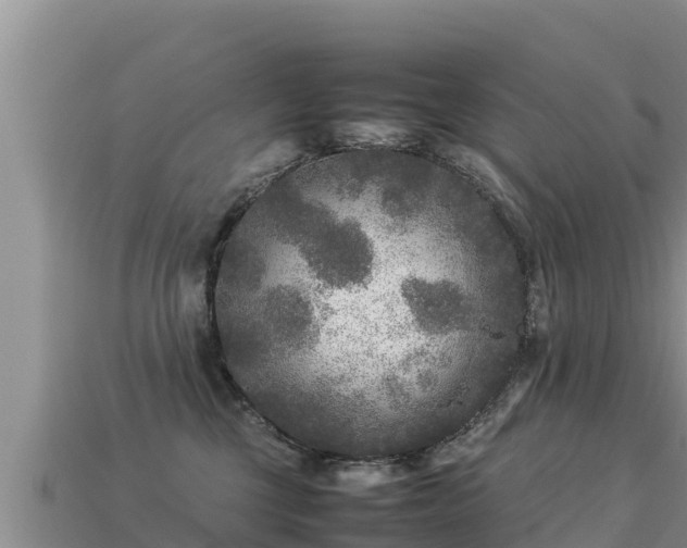 X0000113220377200909171600