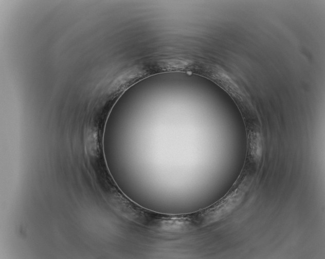 X0000113220378200909171600