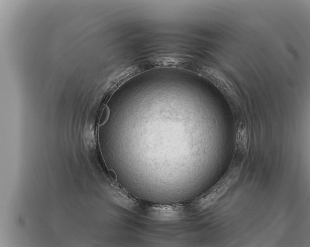 X0000113220381200909171600