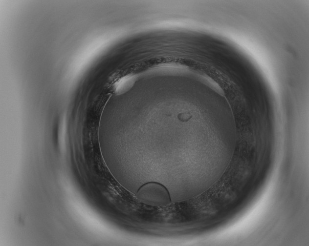 X0000113220382200909171600