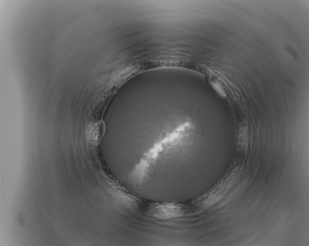 X0000113220383200909171600