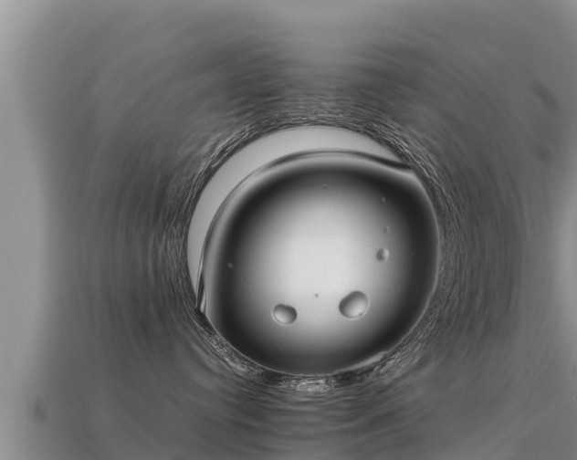 X0000113220384200909171600