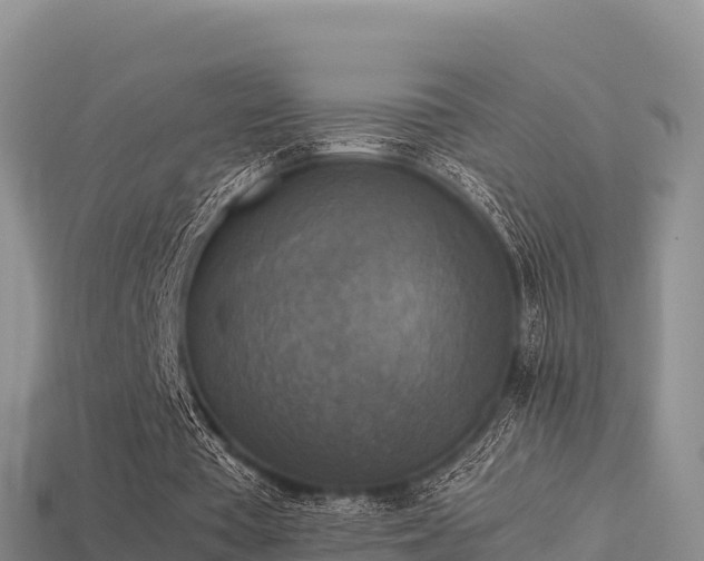 X0000113220385200909171559