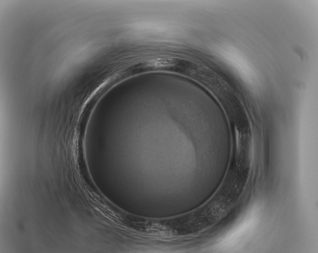 X0000113220387200909171559