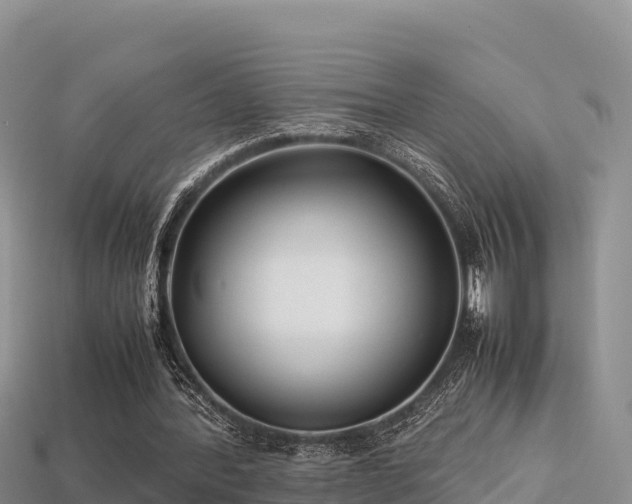 X0000113220388200909171559