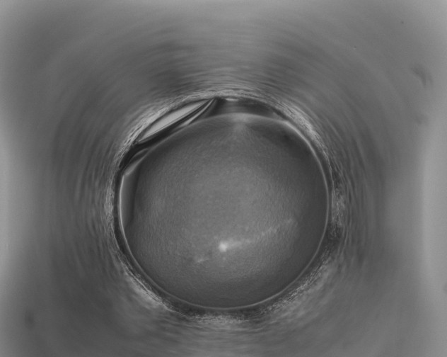 X0000113220389200909171559