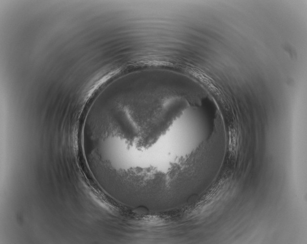 X0000113220390200909171559