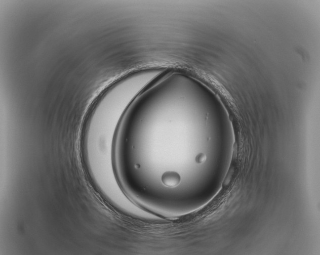 X0000113220391200909171559