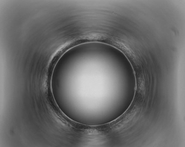 X0000113220392200909171559