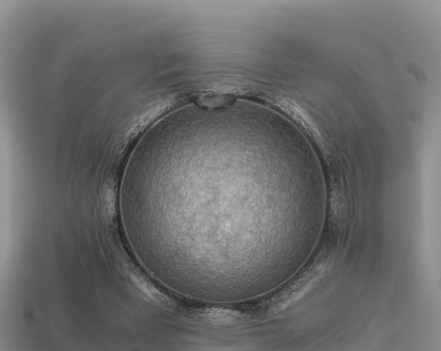 X0000113220393200909171559