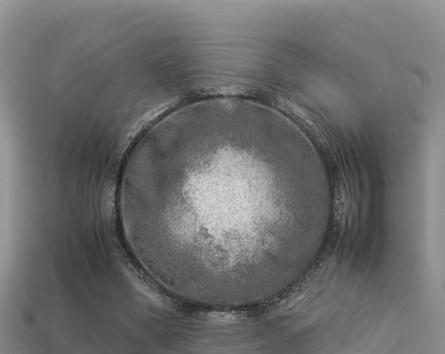 X0000113220394200909171559