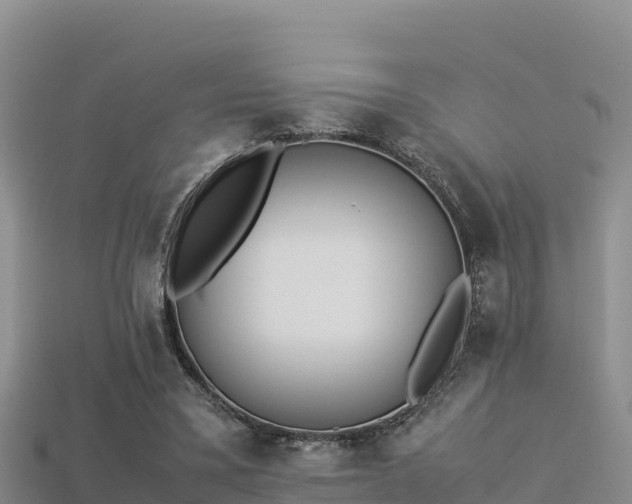 X0000113220395200909171559