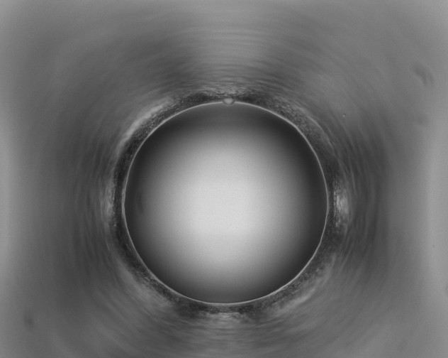 X0000113220396200909171559