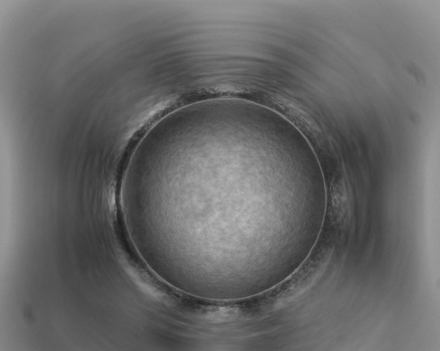 X0000113220398200909171559