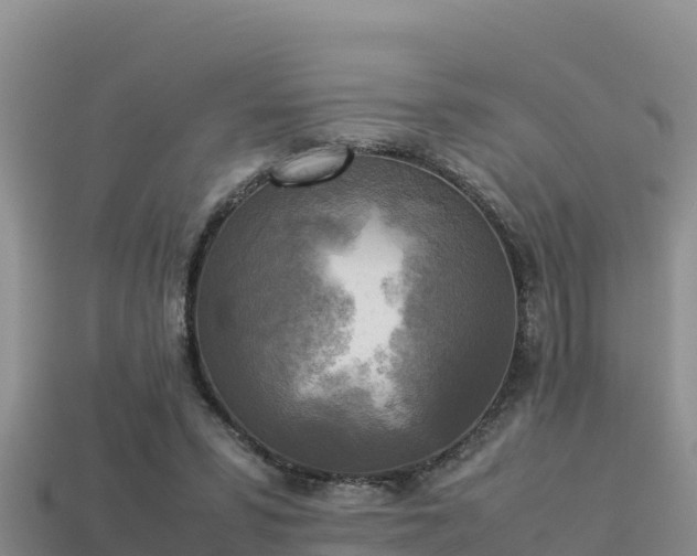 X0000113220399200909171559