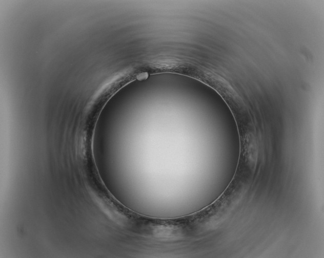 X0000113220400200909171559