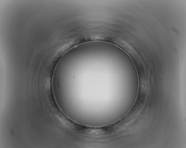 X0000113220401200909171559