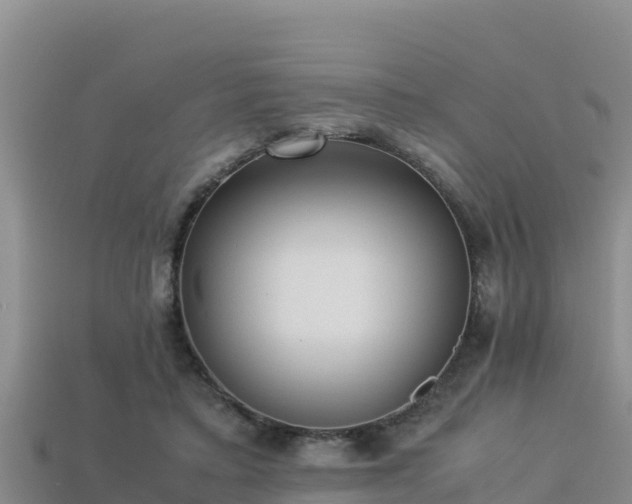 X0000113220403200909171559