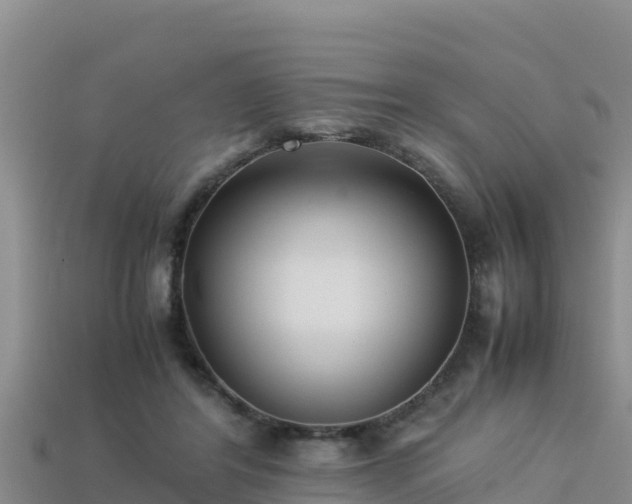 X0000113220404200909171559