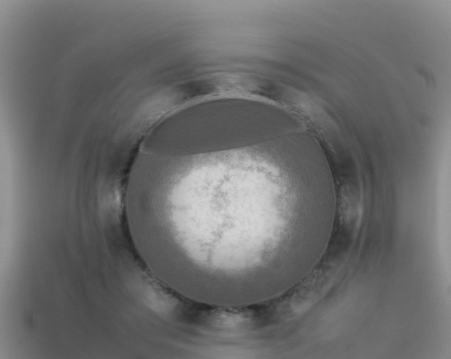 X0000113220405200909171559