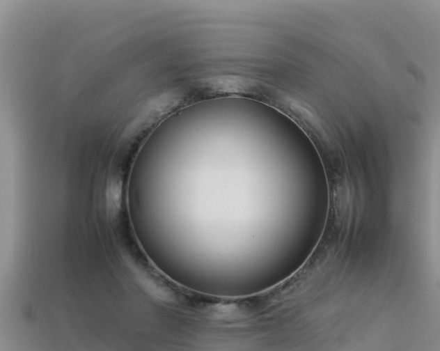 X0000113220406200909171559