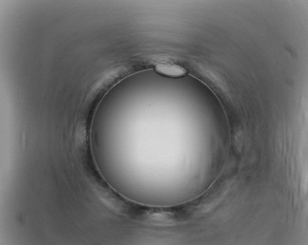 X0000113220407200909171559