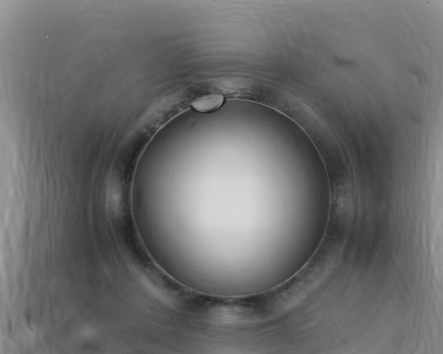 X0000113220408200909171559