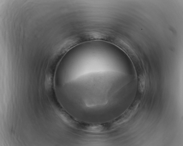 X0000113220410200909171559