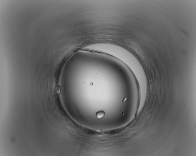 X0000113220411200909171559