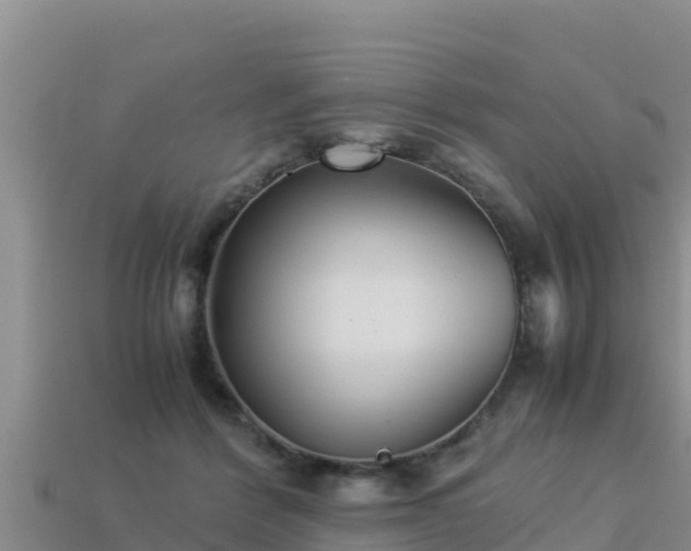 X0000113220412200909171559