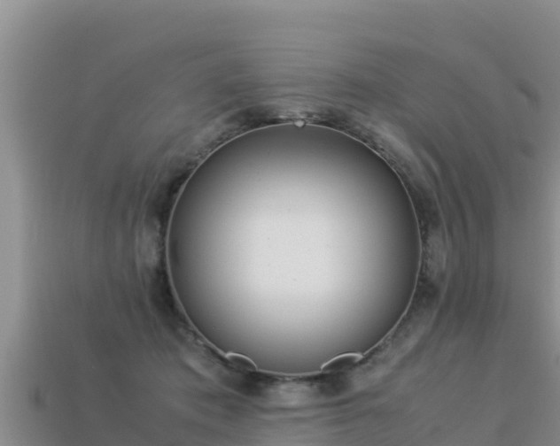 X0000113220413200909171559