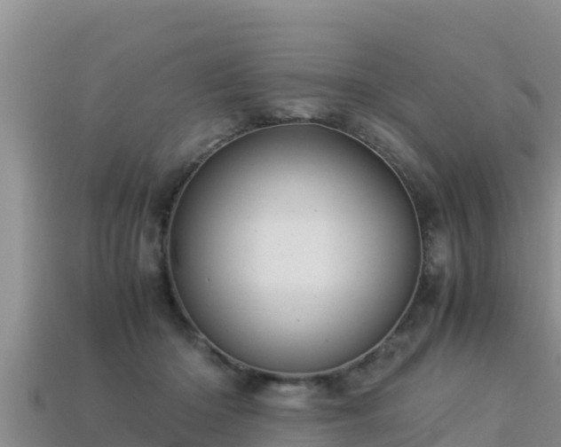 X0000113220414200909171559