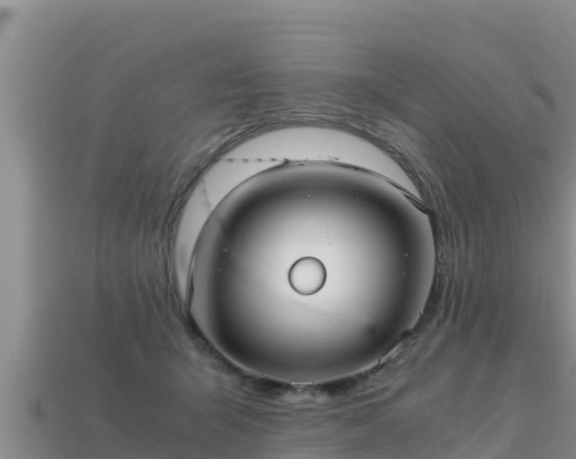 X0000113220415200909171559