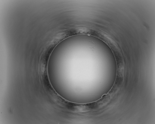 X0000113220417200909171559