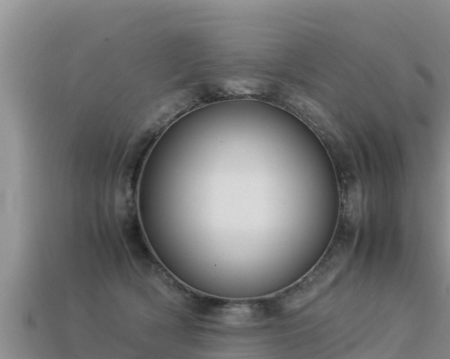 X0000113220418200909171559