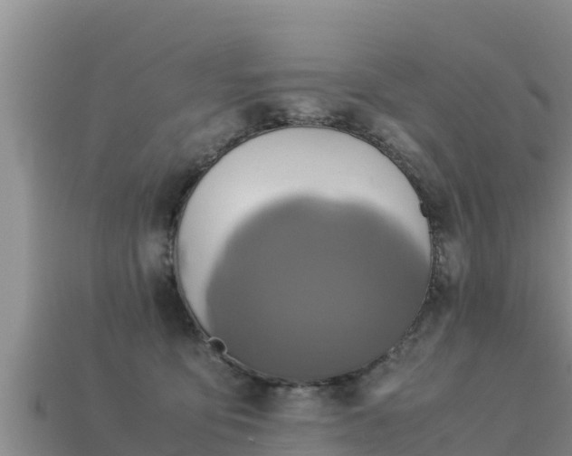 X0000113220419200909171559