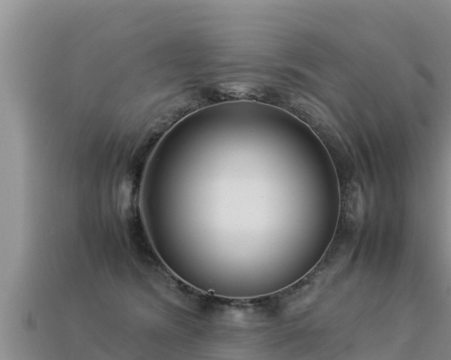 X0000113220420200909171559