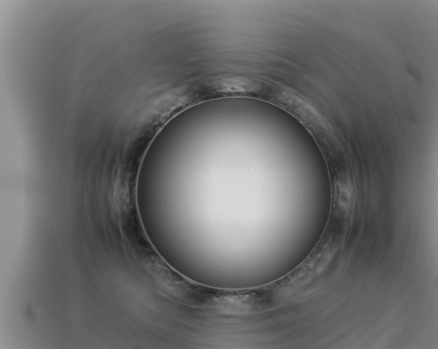 X0000113220422200909171559