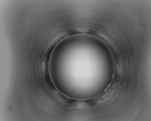 X0000113220424200909171559