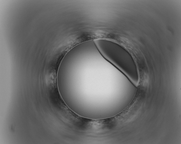 X0000113220425200909171559