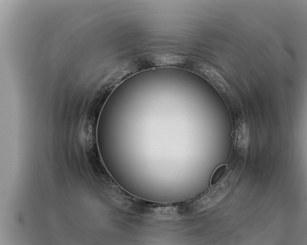 X0000113220426200909171559