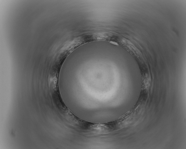 X0000113220427200909171559