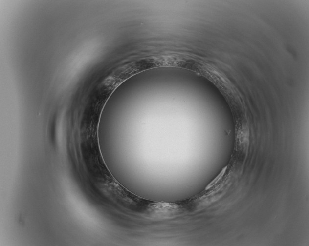 X0000113220429200909171559