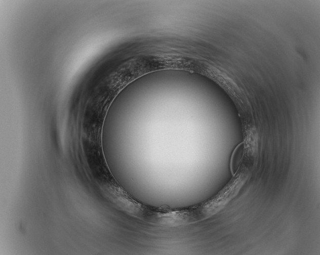 X0000113220430200909171559