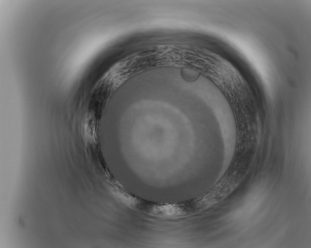 X0000113220431200909171559