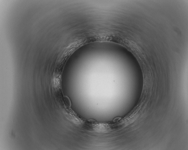 X0000113220432200909171559