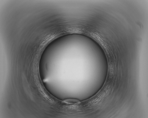 X0000113220433200909171558