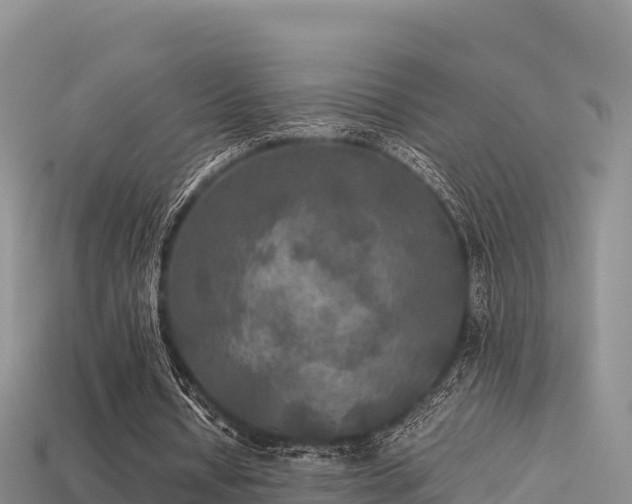 X0000113220434200909171558