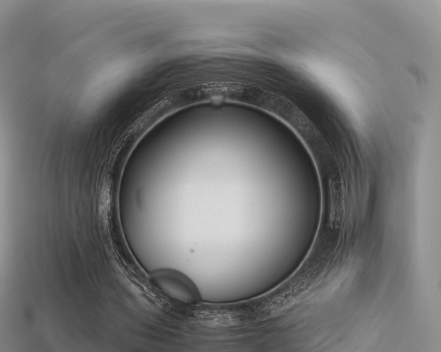 X0000113220435200909171558